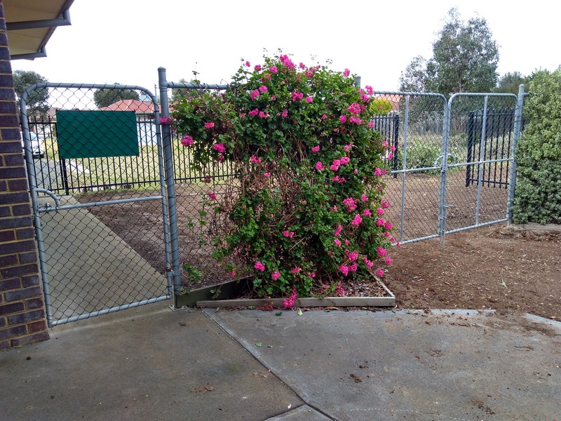 IMG_20181021_101051633_HDR